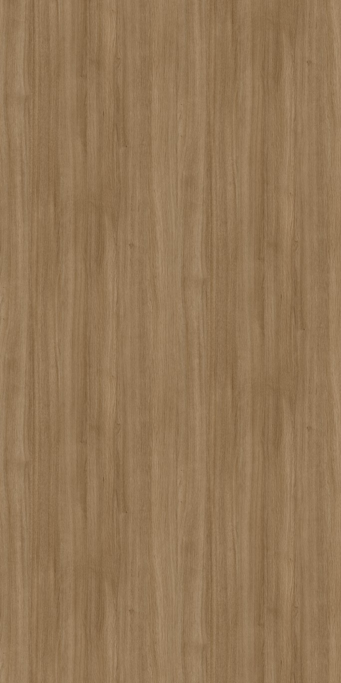 ブラウンベア・中・ Fashionista | Tafisa